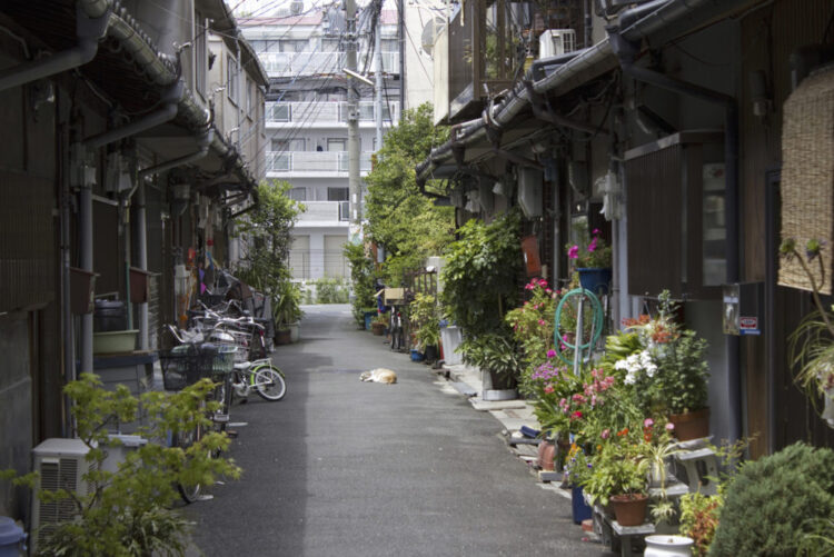 再建築不可物件とは