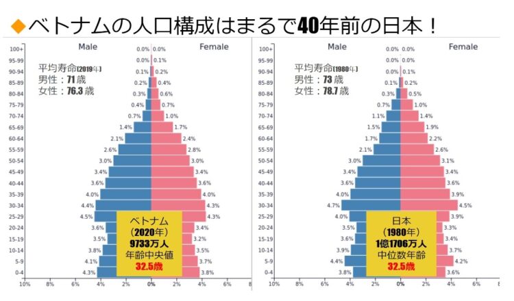 日本とベトナムの人口ピラミッド