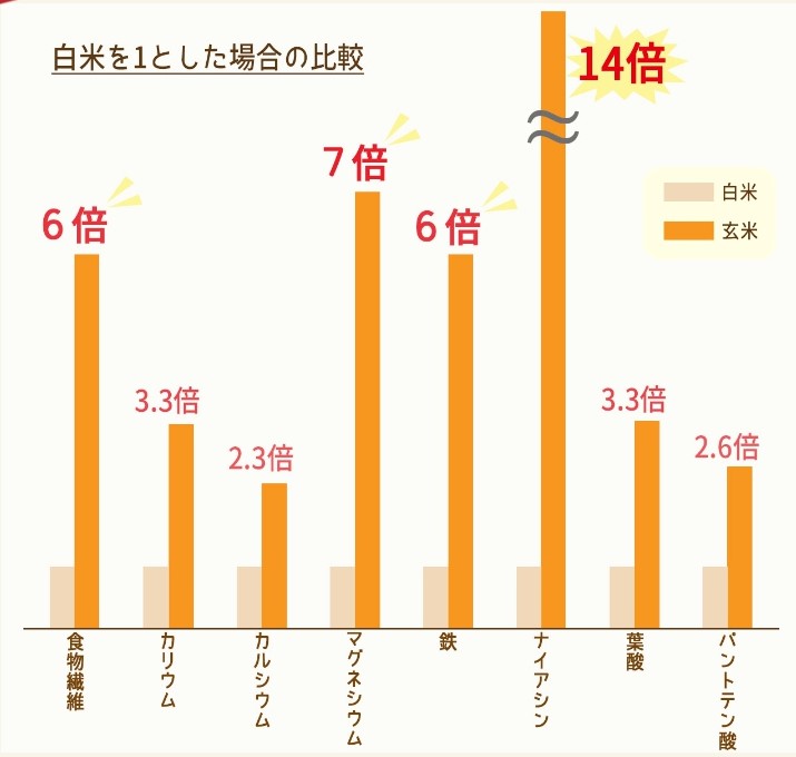 玄米の豊富な栄養素